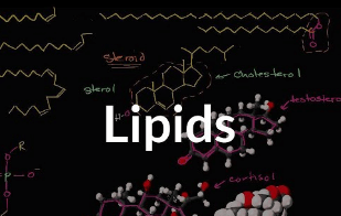 Learning Through Art: Lipid Structure