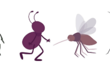 Clipart:6xj0z5x0ycq= Insect