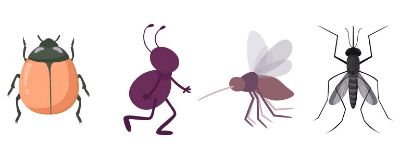 Clipart:6xj0z5x0ycq= Insect