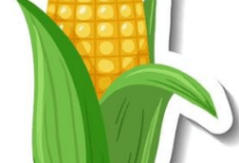 Clipart:5zd5he9anmy= Corn