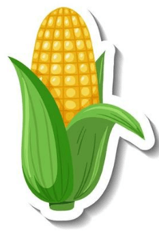 Clipart:5zd5he9anmy= Corn