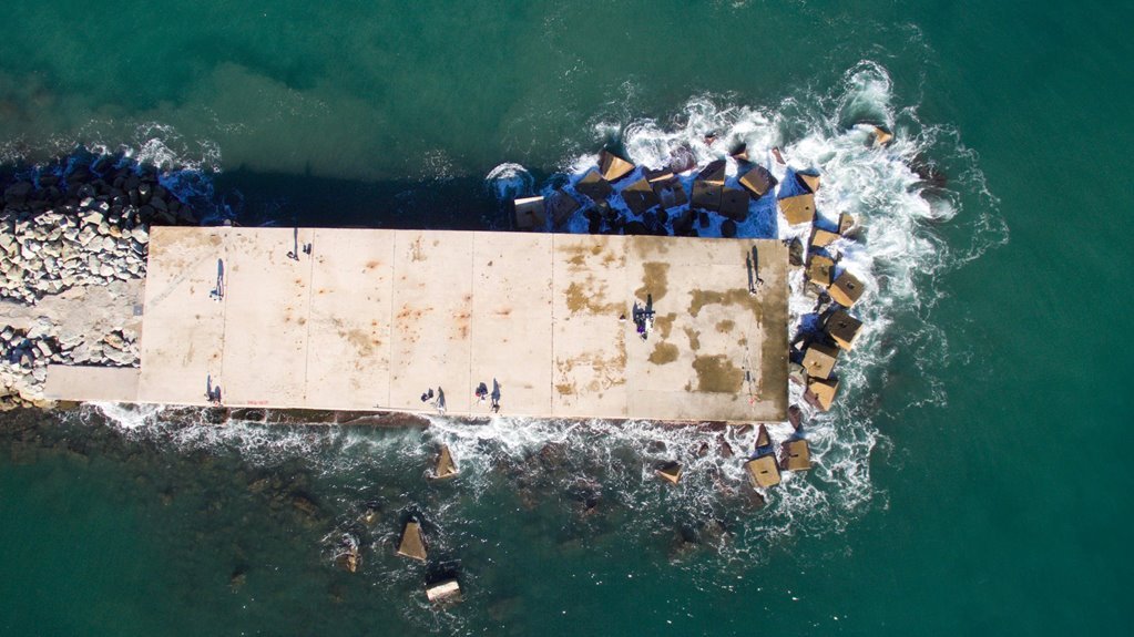 betting platform insights provided